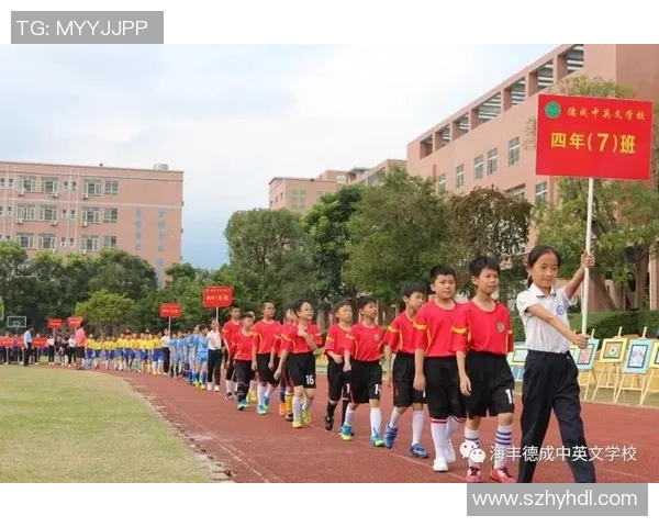 探索欧冠足球明星卡片的魅力与收藏价值,解锁球迷的激情与梦想